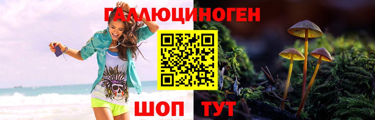 Галлюциногенные грибы Cubensis Северодвинск